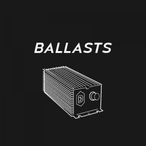 Ballast