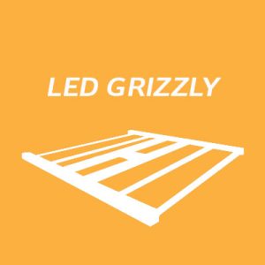 LED GRIZZLY
