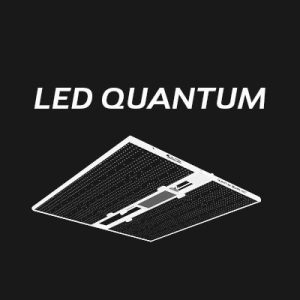 LED QUANTUM